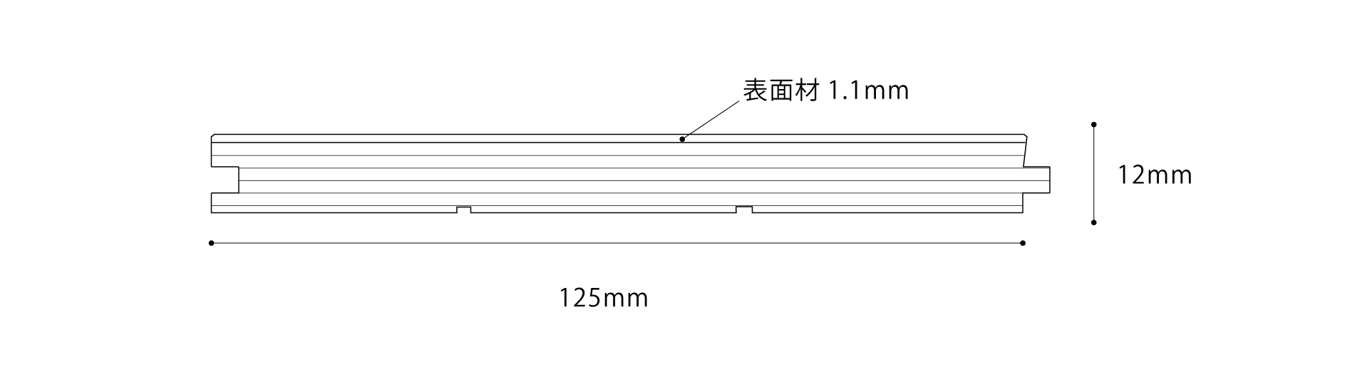 断面イメージ